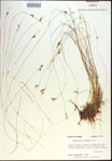 000021408-thumbnail.jpg