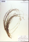 000021409-thumbnail.jpg