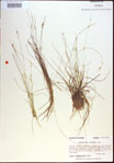 000021410-thumbnail.jpg