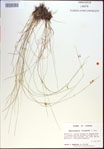 000021411-thumbnail.jpg