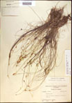 000021412-thumbnail.jpg