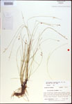 000021413-thumbnail.jpg