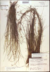 000021414-thumbnail.jpg