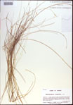 000021415-thumbnail.jpg