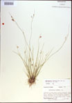 000021416-thumbnail.jpg