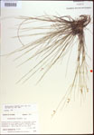 000021417-thumbnail.jpg