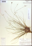 000021418-thumbnail.jpg