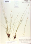 000021419-thumbnail.jpg
