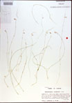 000021420-thumbnail.jpg