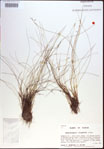 000021421-thumbnail.jpg