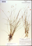 000021422-thumbnail.jpg