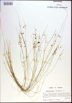 000021423-thumbnail.jpg