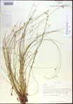 000021424-thumbnail.jpg