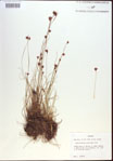 000021467-thumbnail.jpg