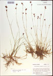 000021468-thumbnail.jpg