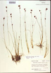 000021469-thumbnail.jpg