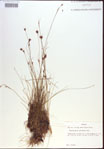 000021470-thumbnail.jpg