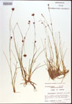 000021471-thumbnail.jpg