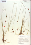 000021474-thumbnail.jpg