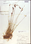000021475-thumbnail.jpg
