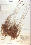 000021476-thumbnail.jpg