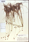 000021477-thumbnail.jpg