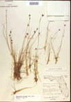 000021478-thumbnail.jpg