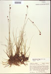 000021479-thumbnail.jpg