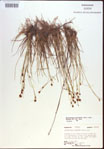 000021480-thumbnail.jpg