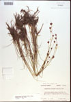 000021481-thumbnail.jpg
