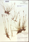 000021482-thumbnail.jpg