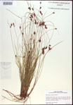000021484-thumbnail.jpg