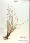 000021485-thumbnail.jpg