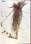 000021486-thumbnail.jpg