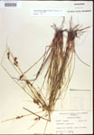 000021487-thumbnail.jpg