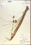 000021489-thumbnail.jpg