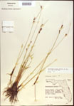 000021490-thumbnail.jpg