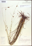 000021491-thumbnail.jpg
