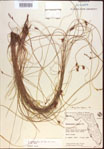 000021492-thumbnail.jpg