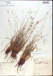 000021493-thumbnail.jpg