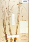 000021494-thumbnail.jpg