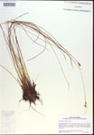 000021496-thumbnail.jpg