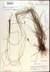 000021497-thumbnail.jpg