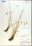 000021500-thumbnail.jpg