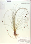 000021501-thumbnail.jpg