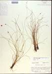 000021502-thumbnail.jpg