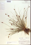 000021503-thumbnail.jpg
