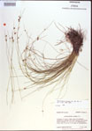 000021504-thumbnail.jpg