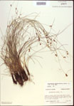000021505-thumbnail.jpg