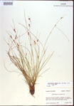 000021506-thumbnail.jpg